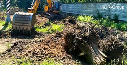 Корчевание пней