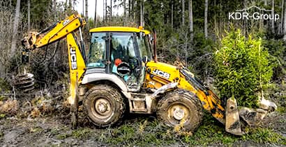 Озеленение территории