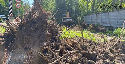 Корчевание пней