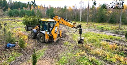 Посадка деревьев и кустарников